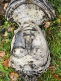 17 IMG 89481